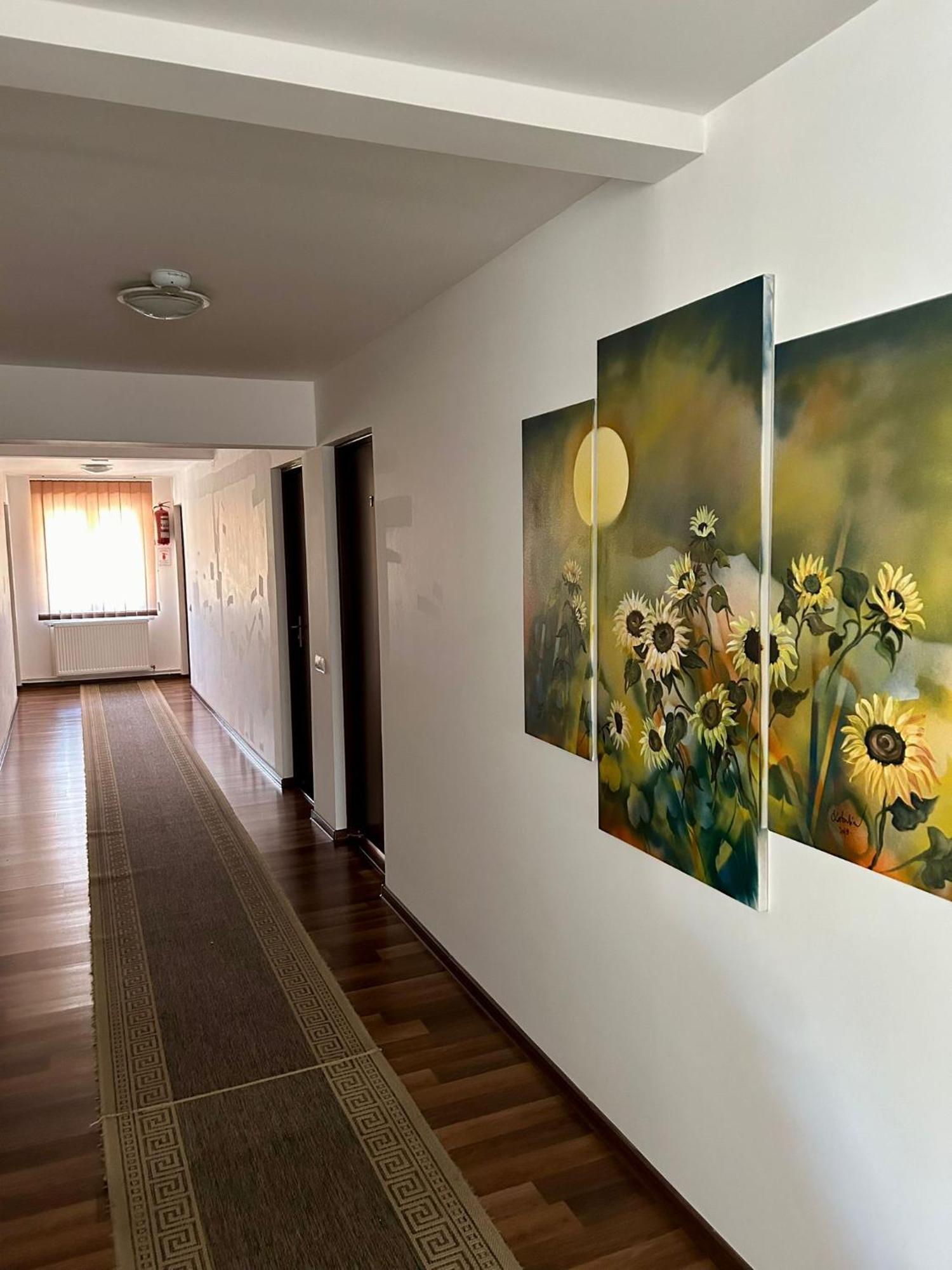 Bed and Breakfast Aranykakas étterem és panzió Sîndominic Exterior foto